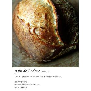 準強力粉 北海道産フランスパン用小麦粉 10P...の詳細画像4