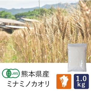 2023年度産 有機JAS 熊本県産有機ミナミノカオリ 1kg ろのわ 強力粉 オーガニック 国産小麦 小麦粉｜mamapan