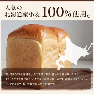 ママパン 春よ恋100 #1 2.5kg 強力...の詳細画像1