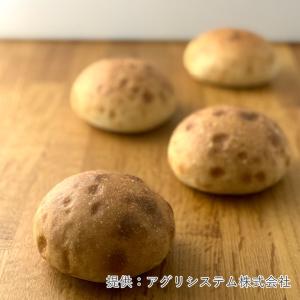 ママパン hinna(ヒンナ) 北海道産パン用...の詳細画像2