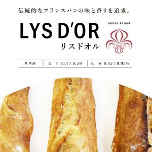 日清製粉 リスドオル 25kg 準強力粉 フラ...の詳細画像1