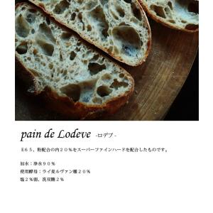 江別製粉 E65 25kg 準強力粉 ハードブ...の詳細画像2
