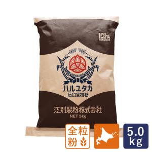 江別製粉 ハルユタカ石臼全粒粉 5kg 2026年9月1日以降出荷 北海道産 全粒粉 国産全粒粉｜ママパン
