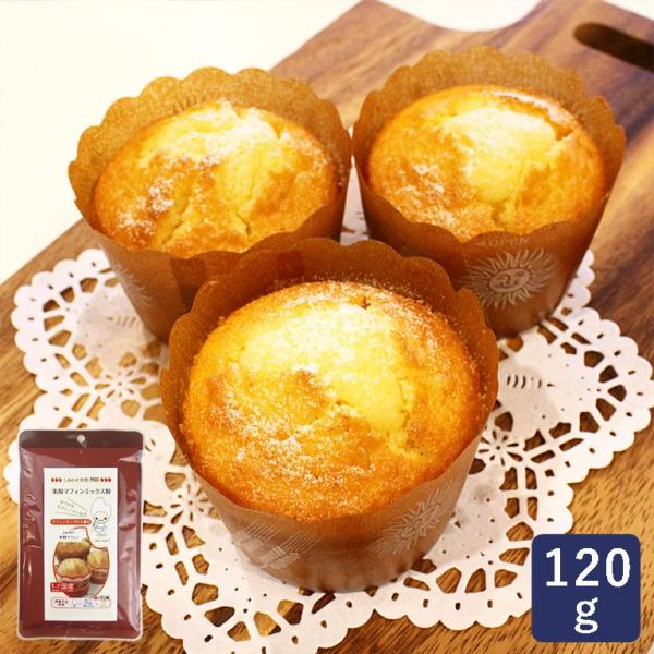 淡路製粉 米粉マフィンミックス粉 120g ミックス粉 グルテンフリー 小麦粉不使用