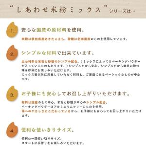淡路製粉 米粉チョコブラウニーミックス粉 12...の詳細画像3