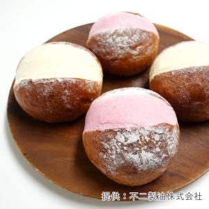 不二製油 ソイレブール 500g 植物油脂 豆...の詳細画像4
