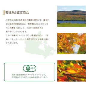 ママパン 有機メープルシュガー 1kg 有機J...の詳細画像3