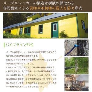 ママパン 有機メープルシュガー 1kg 有機J...の詳細画像4