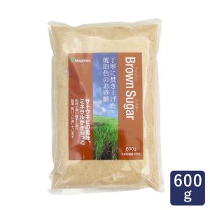 砂糖 ブラウンシュガー 大東製糖 600g Napines