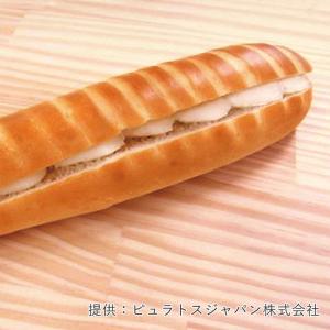 ピュラトス オーテンティック・オリジン 1kg...の詳細画像2