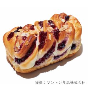 ソントン フレッシュブルーベリーTB-2 1k...の詳細画像2