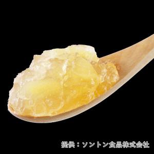 ソントン アップルTB-2 1kg ジャム り...の詳細画像1