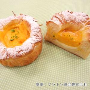 ソントン とろけるアジアンマンゴー 1kg ク...の詳細画像3