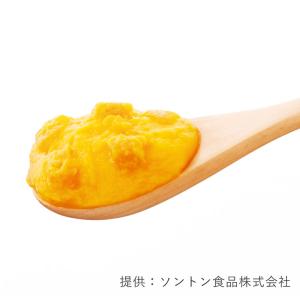 ソントン とろけるアジアンマンゴー 1kg ク...の詳細画像1