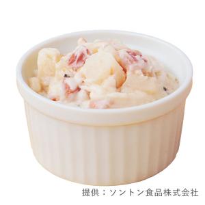 ソントン プチグルメ ジャーマンポテトYF 5...の詳細画像1