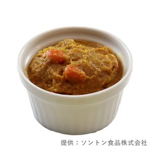 ソントン RNとろっと甘口オニオンカレー 1k...の詳細画像1