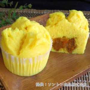 ソントン RNとろっと甘口オニオンカレー 1k...の詳細画像2