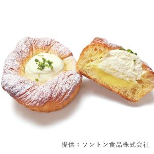 ソントン フレッシュイタリアレモンR 1kg ...の詳細画像2