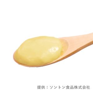 ソントン フレッシュイタリアレモンR 1kg ...の詳細画像1
