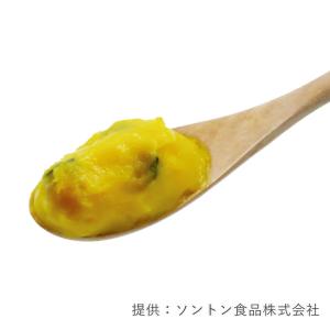 ソントン 北海道かぼちゃクリーム 1kg クリ...の詳細画像1