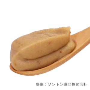 ソントン 渋皮入りマロンクリーム 1kg パン...の詳細画像1