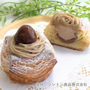 ソントン 渋皮入りマロンクリーム 1kg パン...の詳細画像3