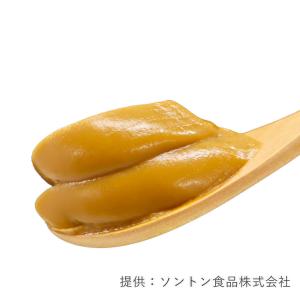 ソントン SVガトーキャラメルクリームR 1k...の詳細画像1