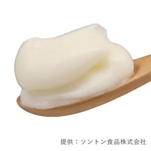 ソントン SV北海道ヨーグルトクリーム 1kg...の詳細画像1
