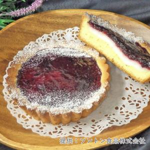 ソントン SV北海道ヨーグルトクリーム 1kg...の詳細画像5