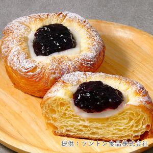 ソントン SV北海道ヨーグルトクリーム 1kg...の詳細画像3
