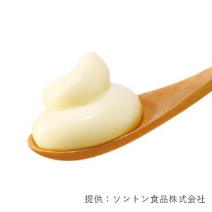 ソントン SVカマンベールチーズクリーム 90...の詳細画像1