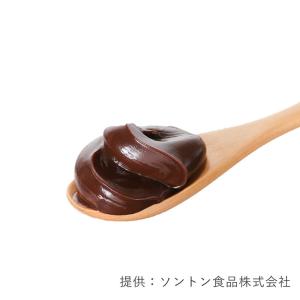 ソントン ノヴェルガナッシュチョコクリーム 1...の詳細画像1