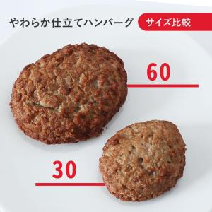 伊藤ハム やわらか仕立てハンバーグ30 300...の詳細画像3