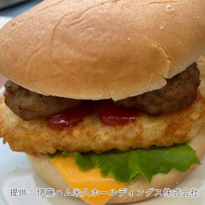 伊藤ハム やわらか仕立てハンバーグ30 300...の詳細画像2