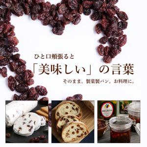 ママパン カリフォルニアレーズン 1kg サン...の詳細画像3