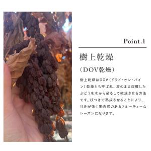 ママパン カリフォルニアレーズン 1kg サン...の詳細画像5