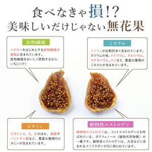 ママパン 有機ドライいちじく(白フィグ)1kg...の詳細画像5