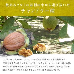 ママパン 有機クルミ LHP 生 250g 賞...の詳細画像2