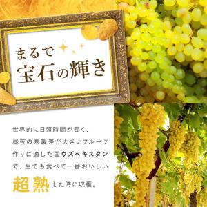 ママパン ウズベキスタン産 ジャンボゴールデン...の詳細画像3