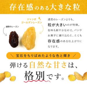 ママパン ウズベキスタン産 ジャンボゴールデン...の詳細画像5