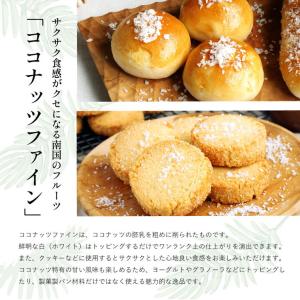 ママパン 有機ココナッツファイン 100g 有...の詳細画像1