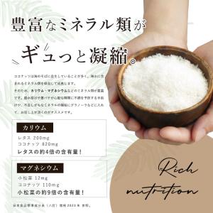 ママパン 有機ココナッツファイン 100g 有...の詳細画像5