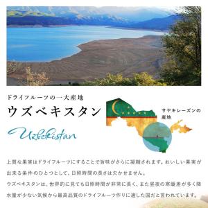 ママパン ウズベキスタン産 サヤキレーズン(天...の詳細画像1