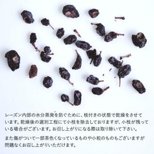 ママパン ウズベキスタン産 サヤキレーズン(天...の詳細画像4