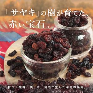 ママパン ウズベキスタン産 レッドレーズン 1...の詳細画像1