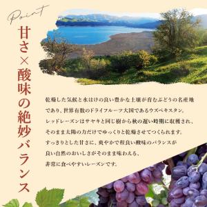 ママパン ウズベキスタン産 レッドレーズン 1...の詳細画像3