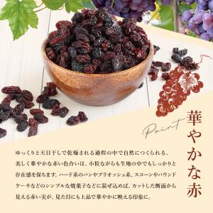 ママパン ウズベキスタン産 レッドレーズン 1...の詳細画像4