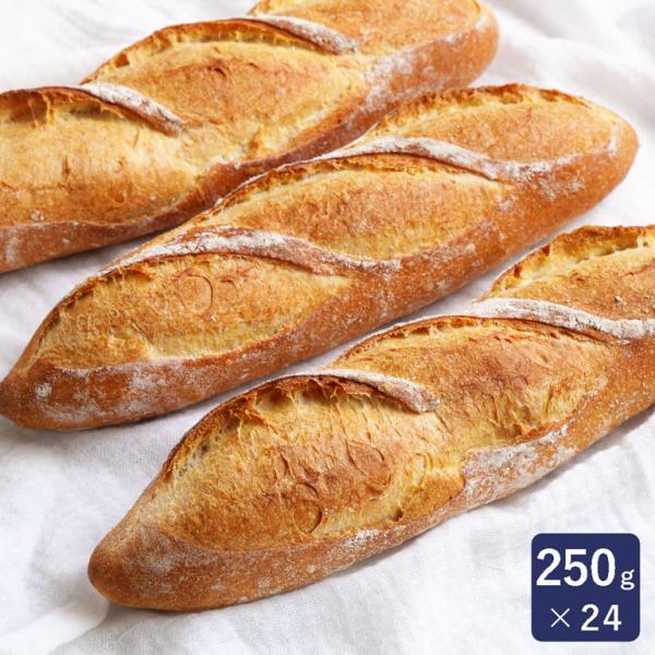 ISM（イズム） フランスパン 250g×24 冷凍パン生地 業務用 1ケース