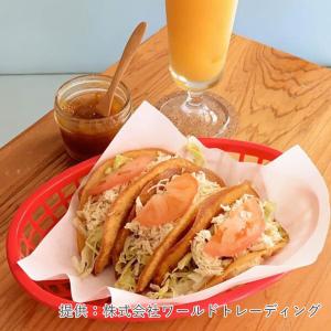 コーントルティーヤ Mサイズ 13cm10枚入...の詳細画像4