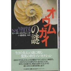 オウムガイの謎